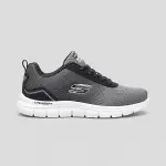 Skecher Flex